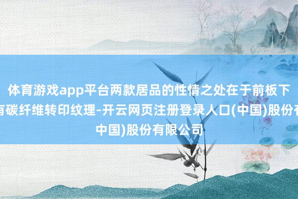 体育游戏app平台两款居品的性情之处在于前板下部的特有碳纤维转印纹理-开云网页注册登录人口(中国)股份有限公司